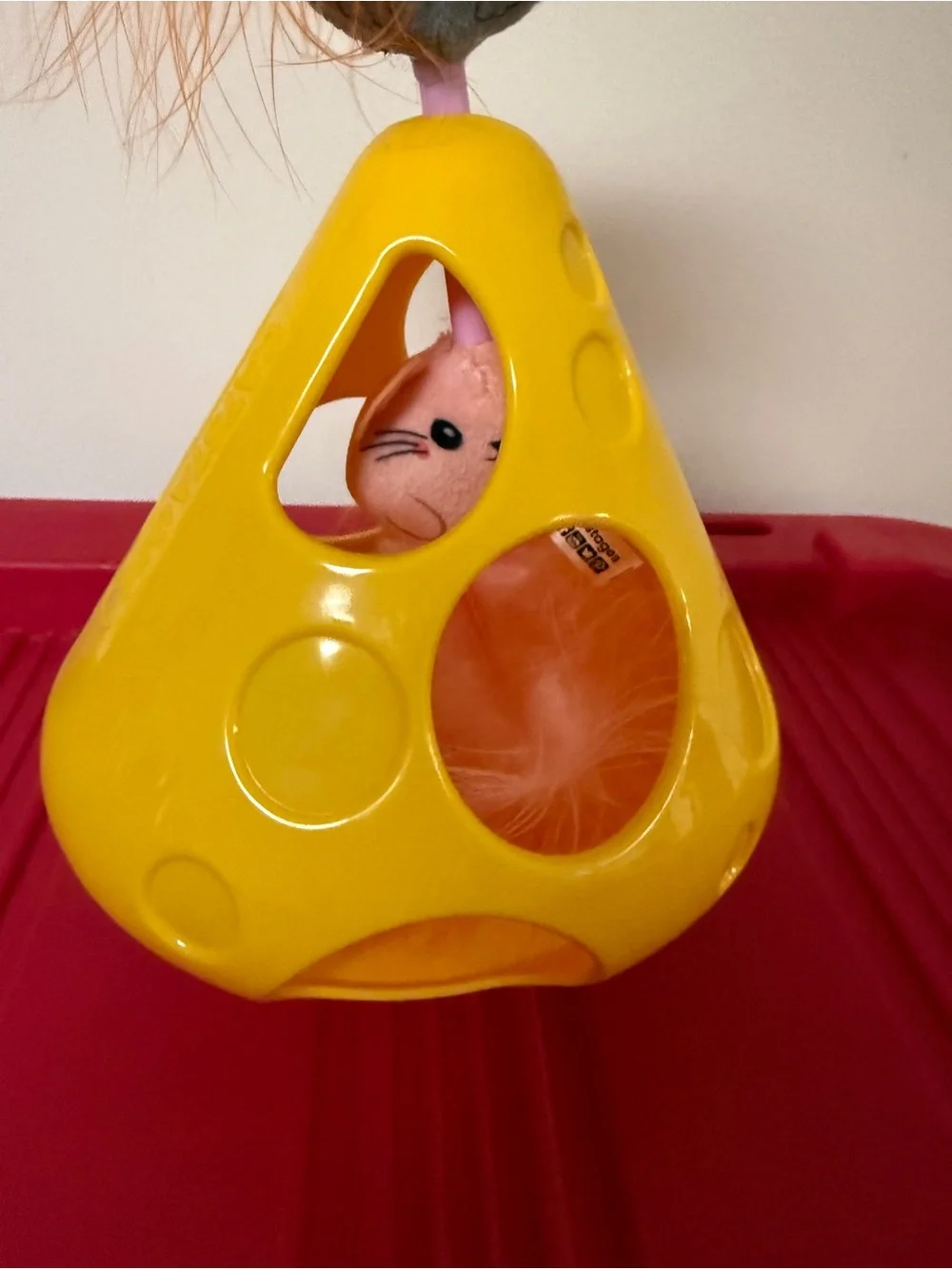 N/A nwot catstages